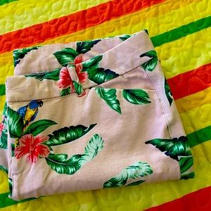 Flowers in the garden pants